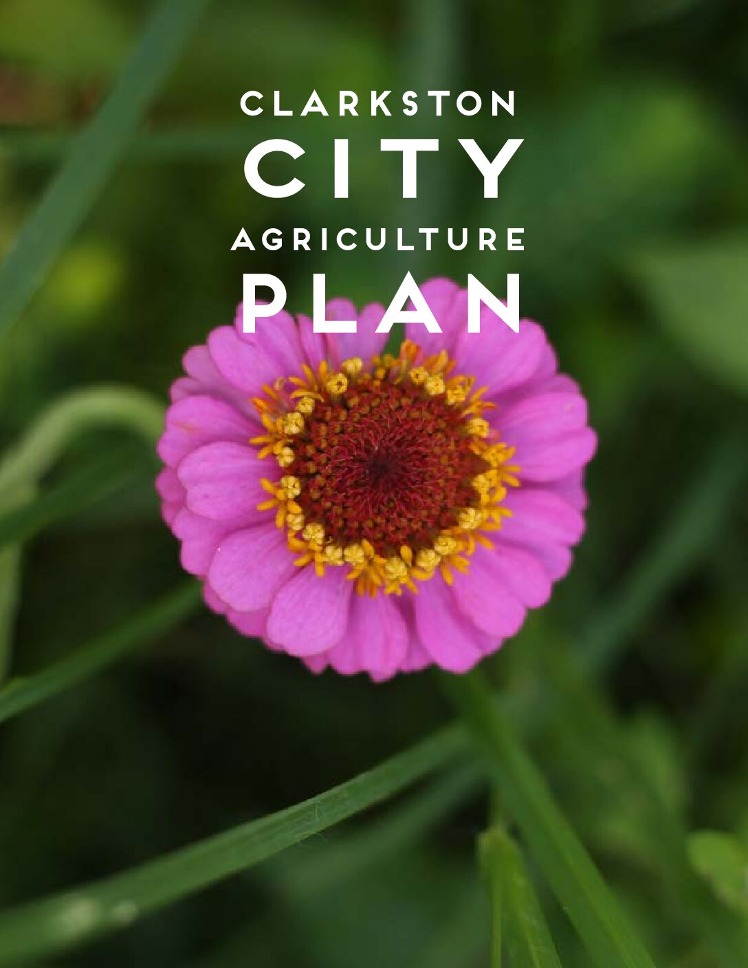 Cover of the Clarkston City Agriculture Plan showing a flower